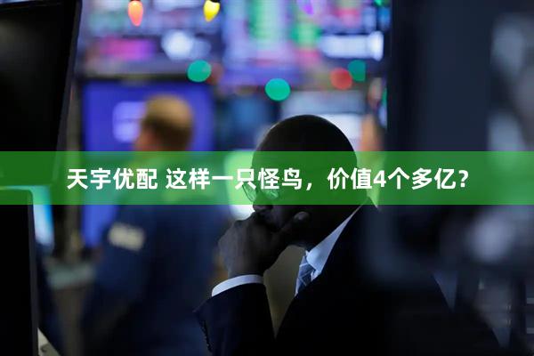 天宇优配 这样一只怪鸟，价值4个多亿？