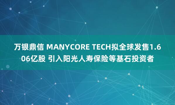 万银鼎信 MANYCORE TECH拟全球发售1.606亿股 引入阳光人寿保险等基石投资者