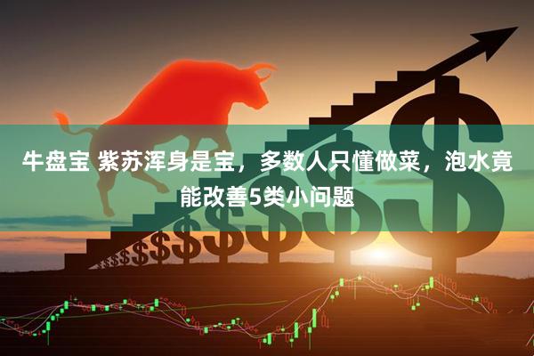 牛盘宝 紫苏浑身是宝，多数人只懂做菜，泡水竟能改善5类小问题